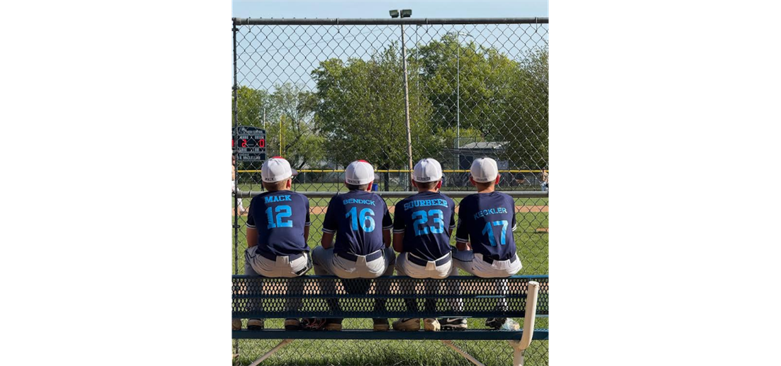 Lions Foundation Experience with Camp Hill Baseball